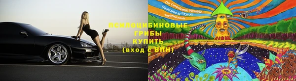 индика Армянск