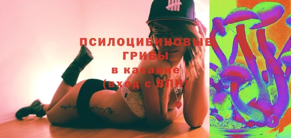 индика Армянск