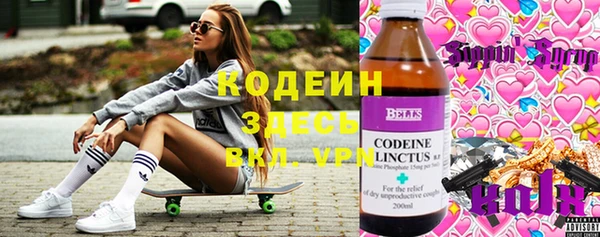 ешки Арсеньев