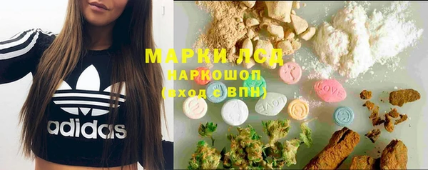 индика Армянск