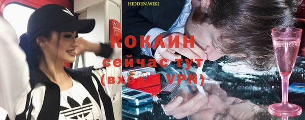 ешки Арсеньев