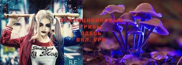 индика Армянск
